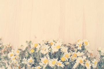 Colorful flowers with soft blur in the pastel vintage retro tone