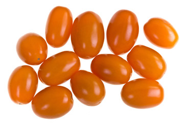 Fototapeta premium Perino Gold Tomatoes