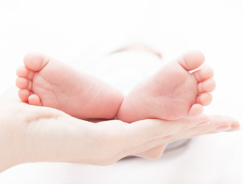 Young babies feet in mothers hand. 