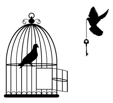 vector illustration of a bird cage open with doves flying with a key