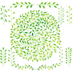 Set of watercolor green plants, laurel leaves, circle leaves emb