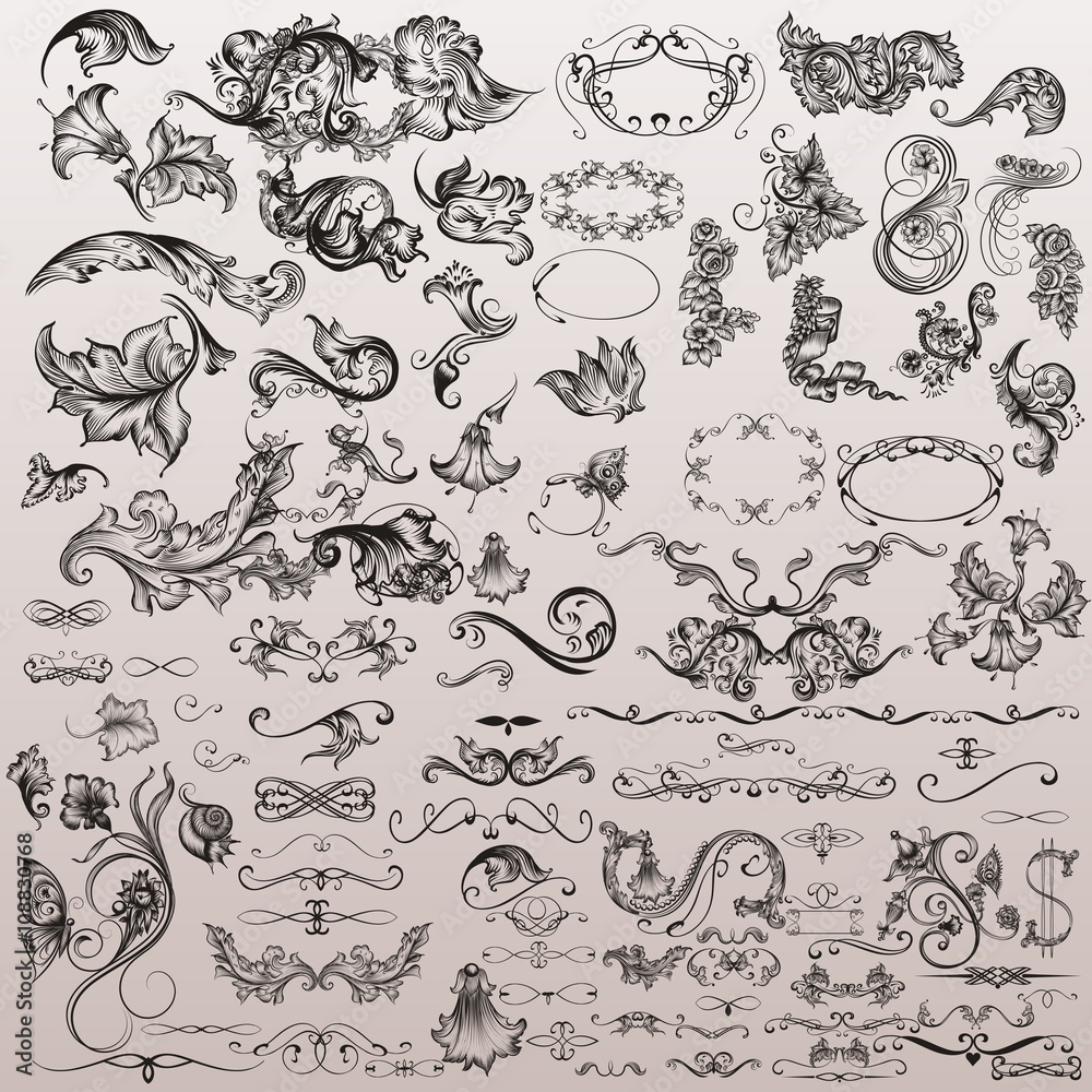 Fototapete vector set of calligraphic elements for design. calligraphic vec
