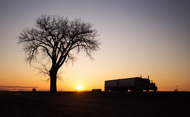 One tree against a sunset with semi truck passing by