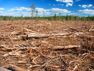 Michigan Logging Industry