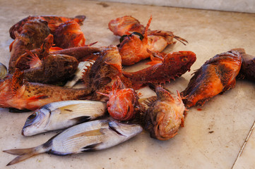 Fish market on the island of Mykonos.