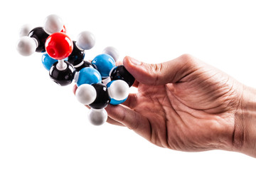 holding a caffeine molecular structure