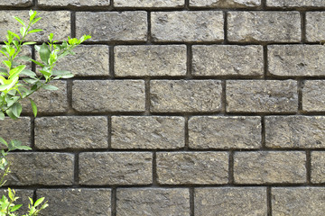 Texture of  brick wall