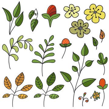 Hand drawn floral set. Isolated. Vector