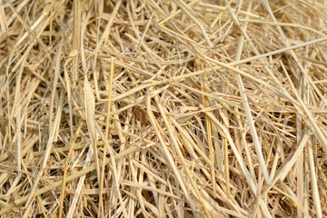 Brown rice straw