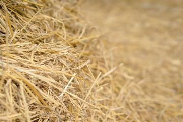 Brown rice straw