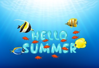 Naklejka premium Hello Summer Background with Tropical fish 