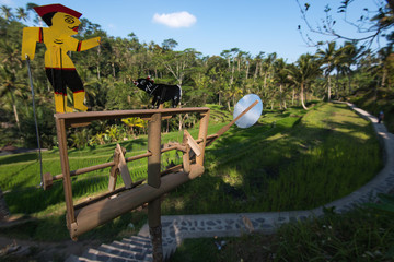 Wind rattle to scare the birds on the farm, Bali