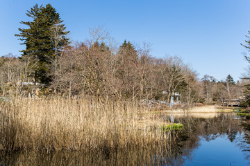 Water lake in karuizawa