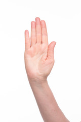 Obraz premium Old woman's hand