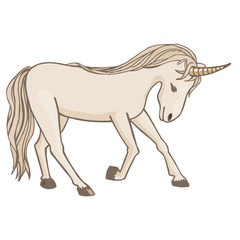 Unicorn vector