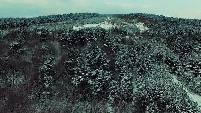 AERIAL: Following the footsteps in snow through winter forest