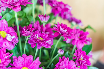 Obraz premium Bunch of chrysanthemum