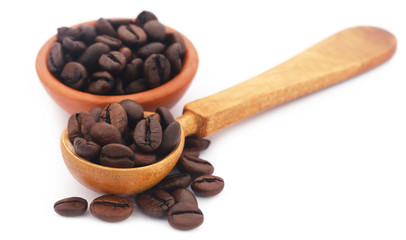 Roasted coffee beans