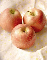 vintage background with apple
