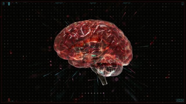 Advanced Brain Monitoring (Loop)