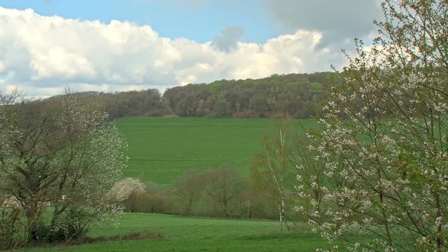 Blooming trees in front of fields.
The peaceful beauty of Germany&rsquo;s countryside in spring.
