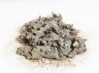 Common house hold dust, high magnification macro, isolated on wh