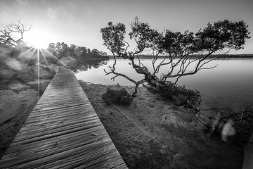 Sunset at the Merimbula Lake Boardwalk, Victoria, Australia. Black and white image.