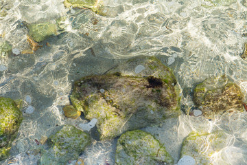 rocks underwater