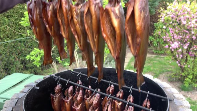 Forellen und Saiblinge werden aus dem R&auml;ucherofen geholt