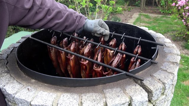 Forellen und Saiblinge werden aus dem R&auml;ucherofen geholt