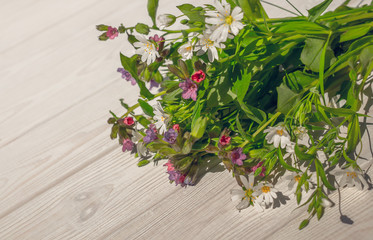 Белый фон и весенние цветы