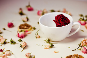 dried flowers dried roses and round slices of lemon laid on a white background and the white Cup