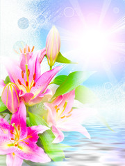 Close up of pink lilies