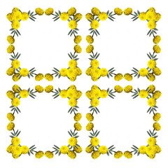 Floral pattern. Yellow marigolds. Isolated 