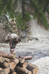 Young men on logs in the forest. Pine trees