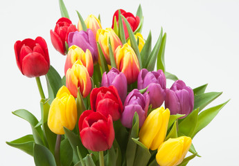 Assorted Tulips Bouquet On White Background