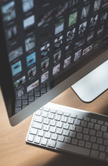 Photos on computer monitor