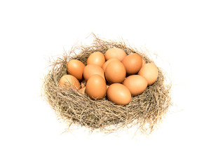 Eggs isolated on a white background