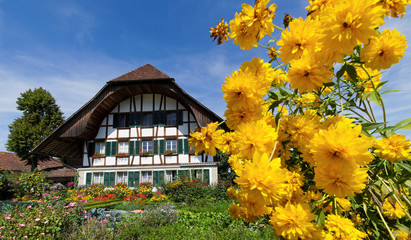 Typisches Berner Bauernhaus mit Dahlien in Schlosswil 