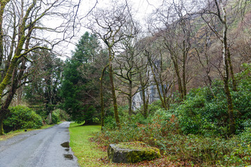 Park of Kylemore Abbey