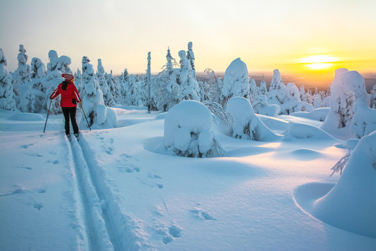 Woman cross country skiing in Lapland Finland sunset