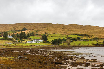 Irish landscape in winter