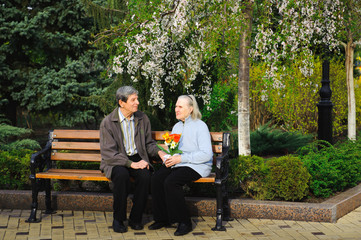 Fototapeta premium beautiful happy old people sitting in the autumn park