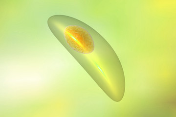 Toxoplasma gondii on colorful background. Protozoan which is transmitted from cats and other animals and causes toxoplasmosis especially dangerous for pregnant women. 3D illustration