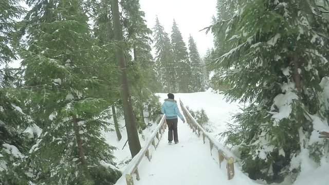 Wooden bridge with girl
