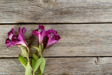 Beautiful alstroemeria flowers on a grey wooden table