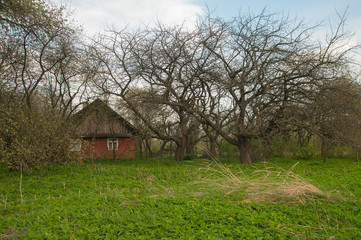 Fototapeta na wymiar ukrainian village