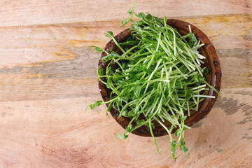 Fototapeta na wymiar Bowl of pea sprouts