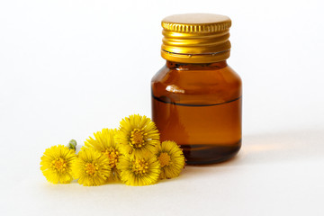Coltsfoot flower and liquid extract. 