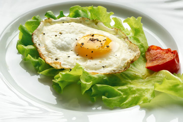Fried egg with tomato on green salad leaf